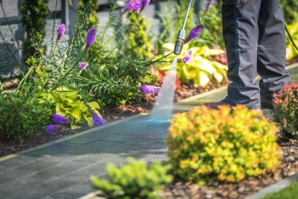 Best Spring Cleaning  in Valley Center, CA